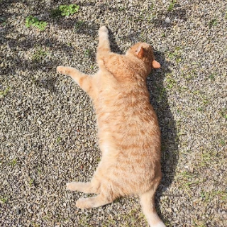 KiddWife profile avatar