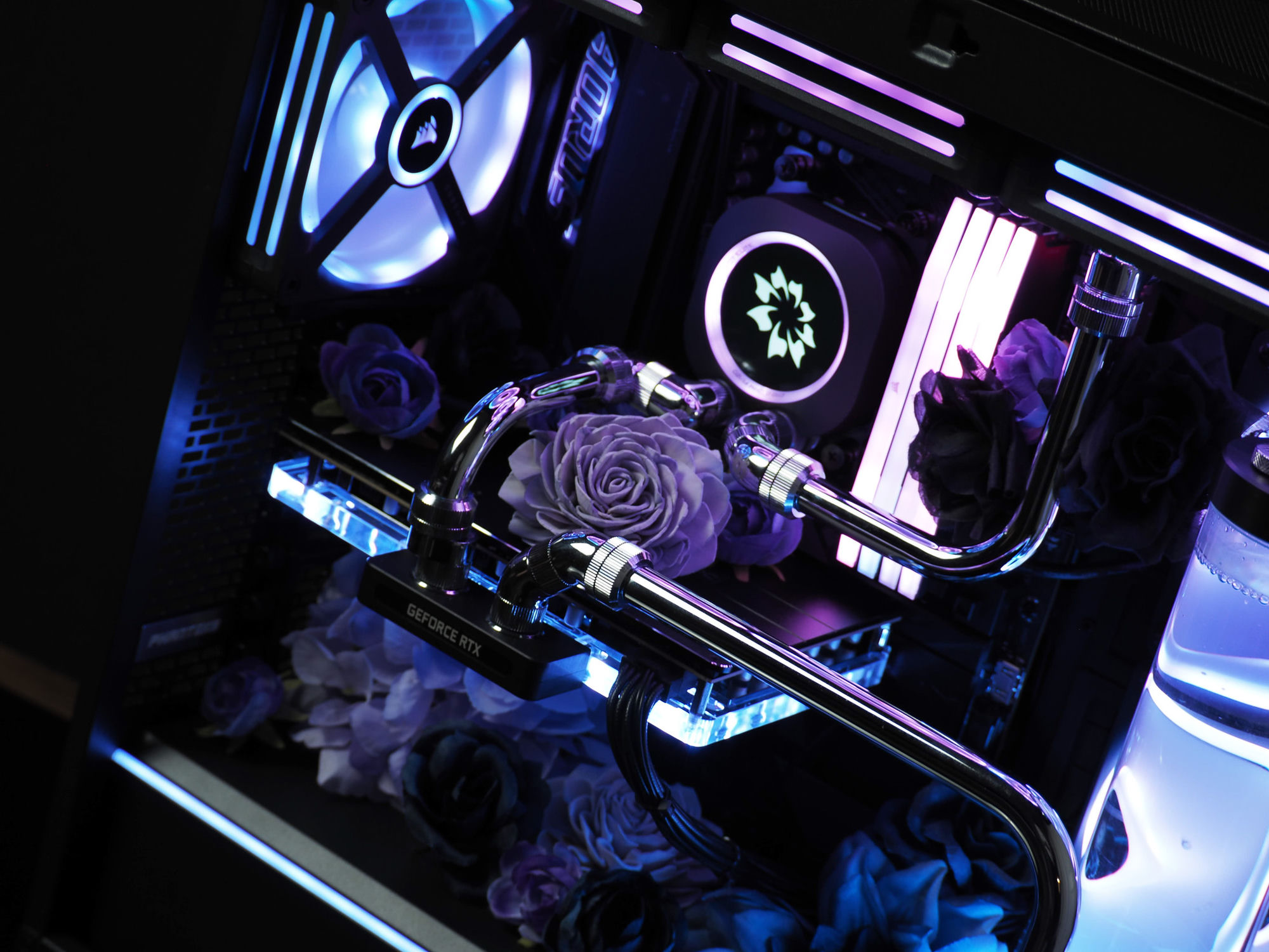 Hand-bent chrome hardline tubing routed past a purple rose