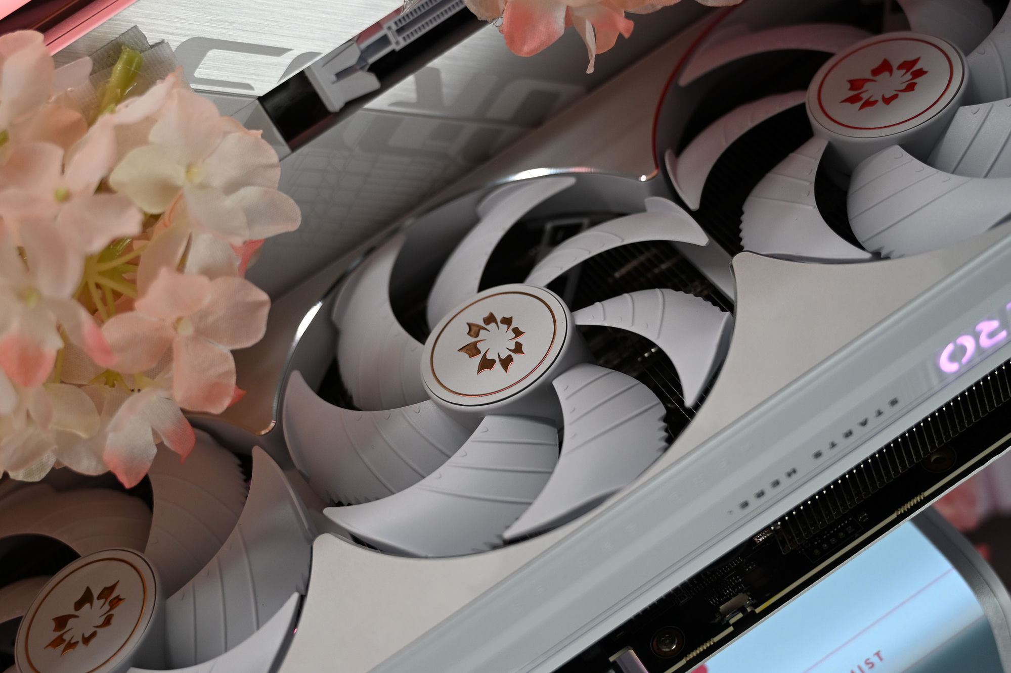 Rose gold foil-stamped sakura Optimist emblems on the white GPU fans