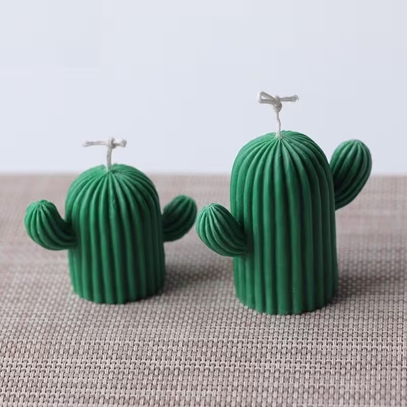 Cactus scented wax