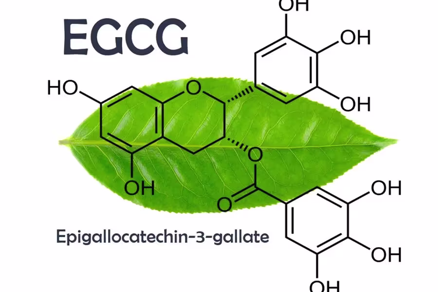 EGCG