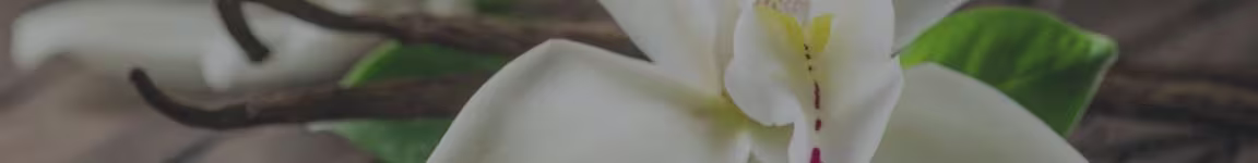 Nến Thơm Cao Cấp Hương Hoa Vanilla - Tạo Không Gian Ấm Áp và Thư Giãn