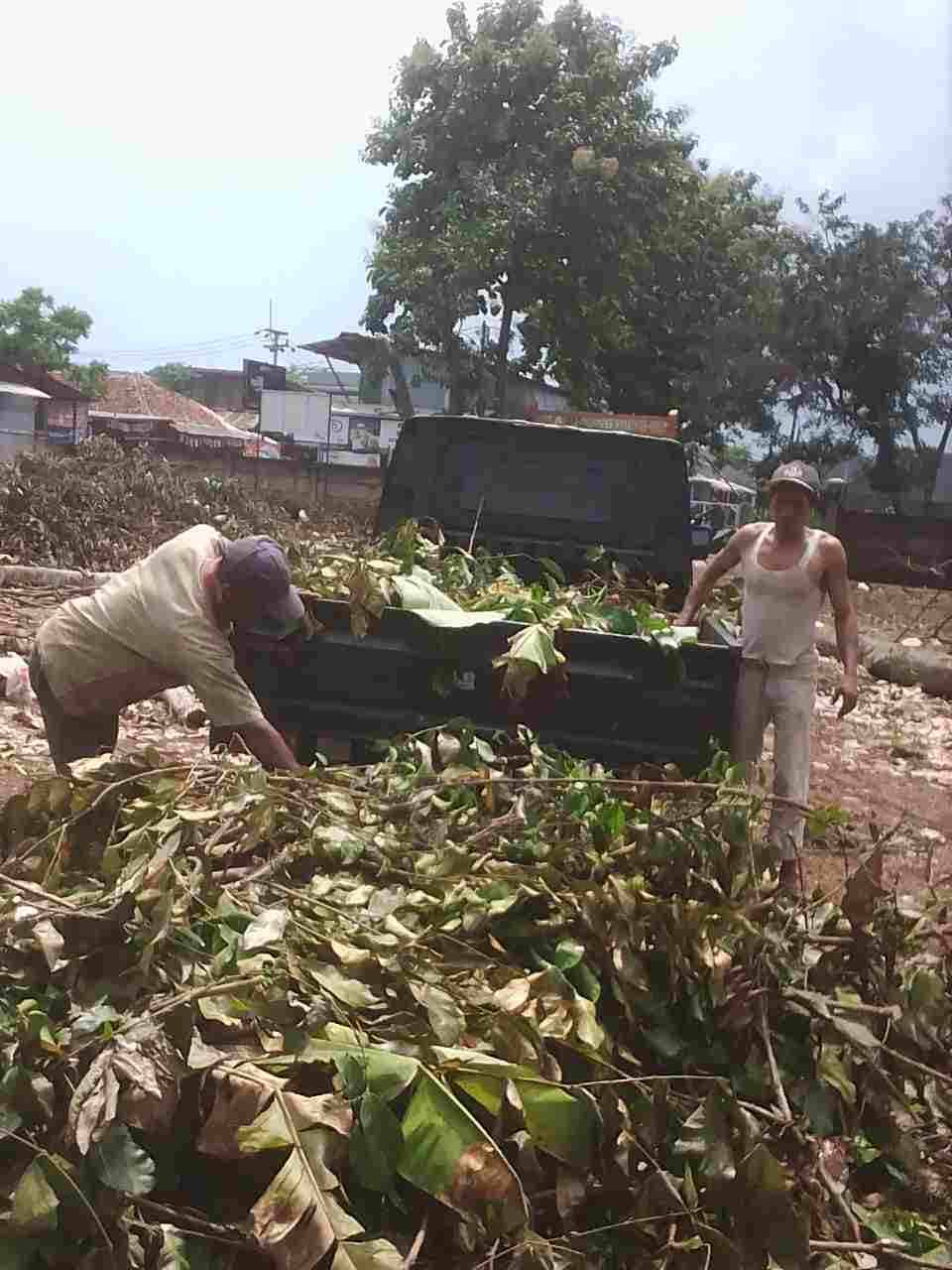 jual Jasa tebang pohon pusat 081292127731