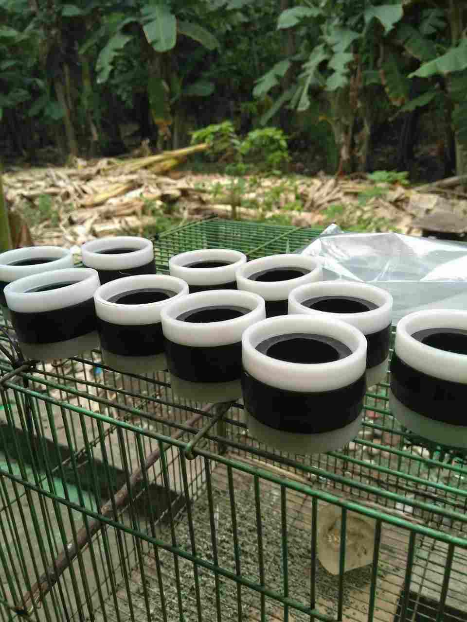 jual Jasa Karet