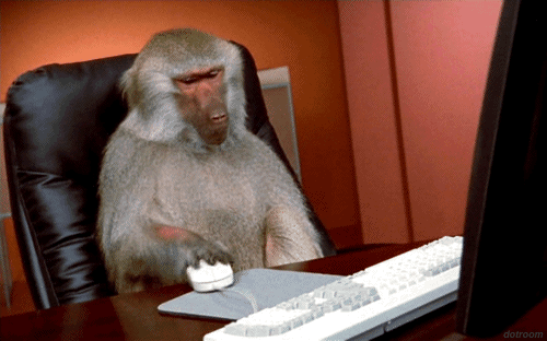 Avatar de l’utilisateur