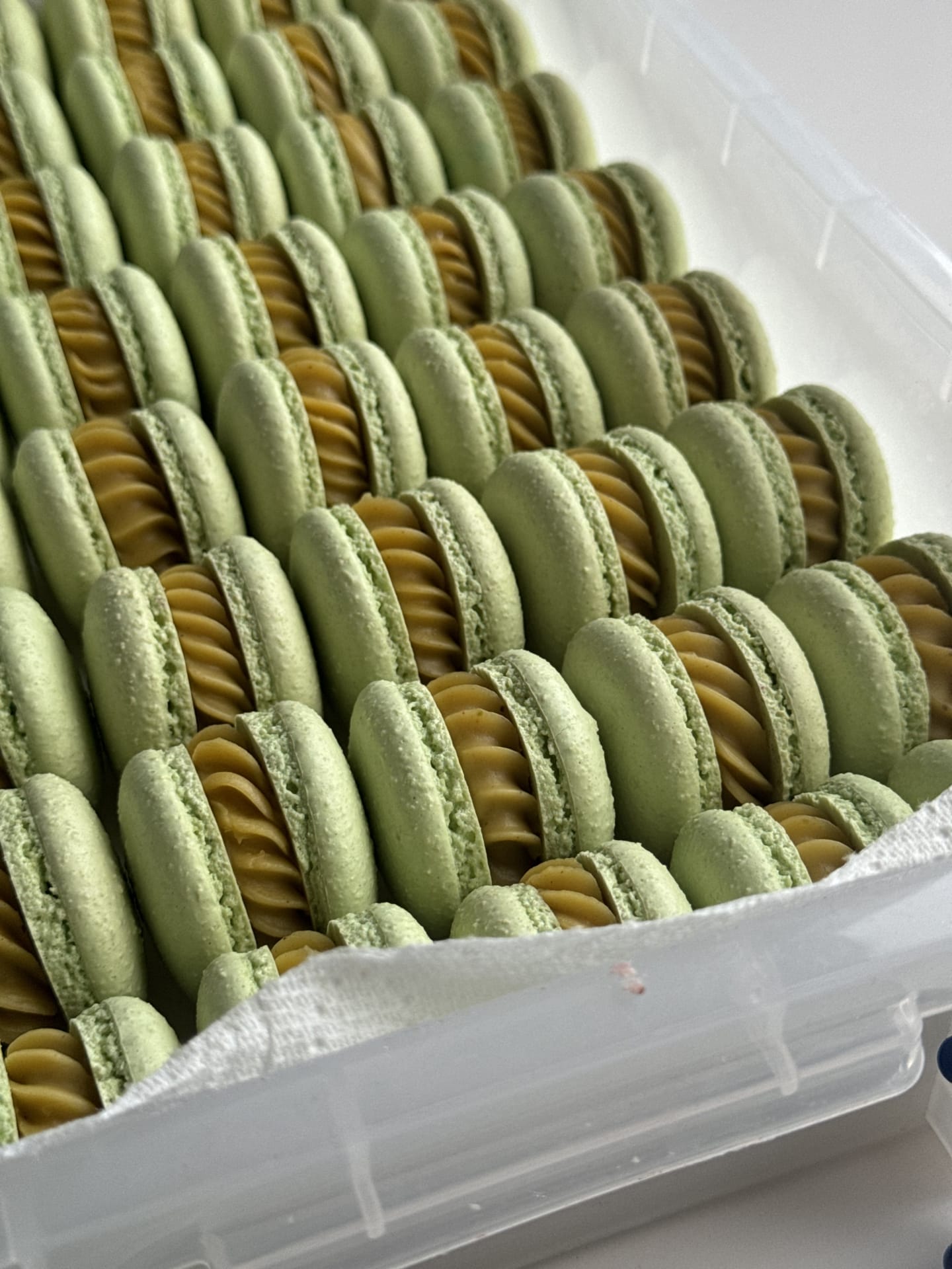 Pistachio