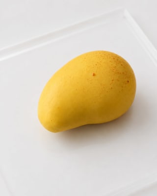Chocolate shell dessert with fruit filling
