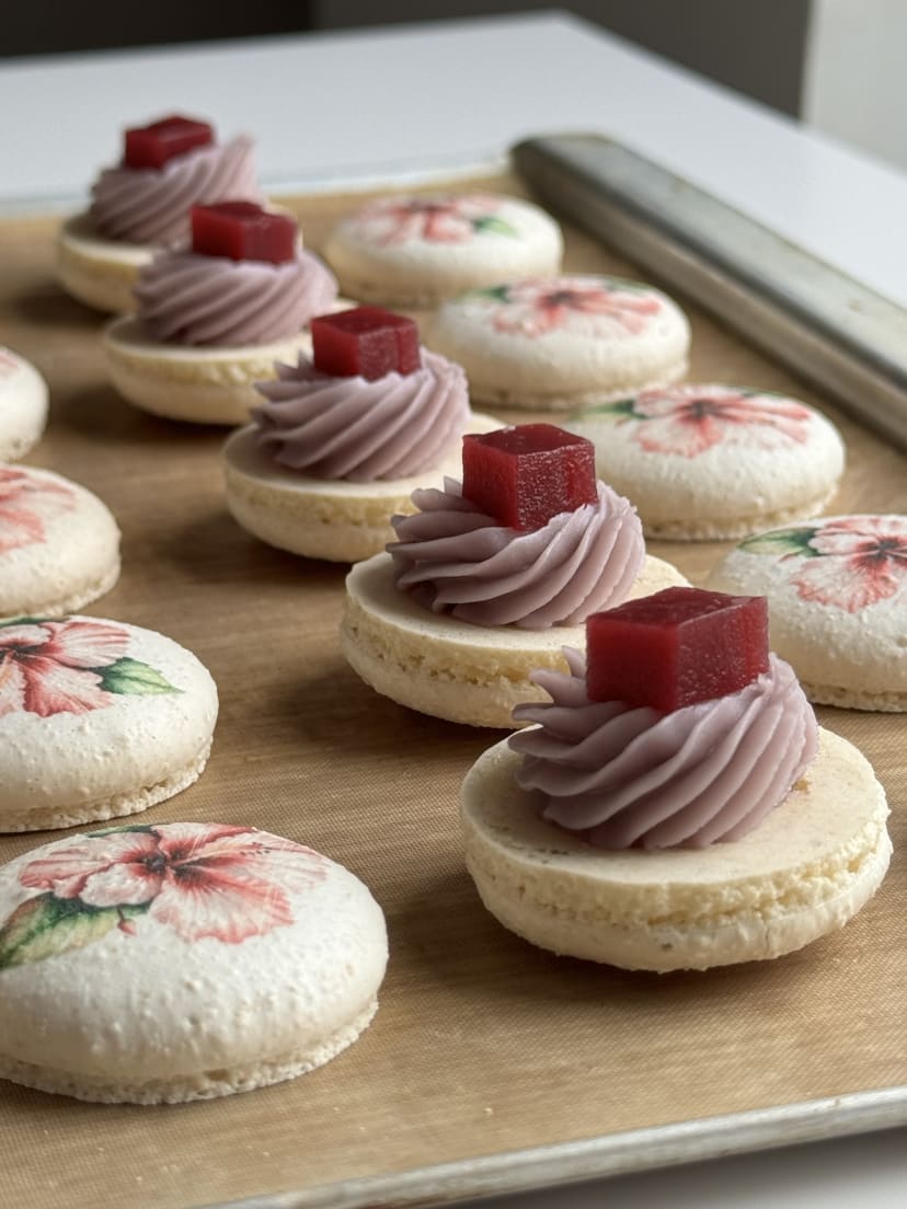 Hibiscus & Pomegranate macarons