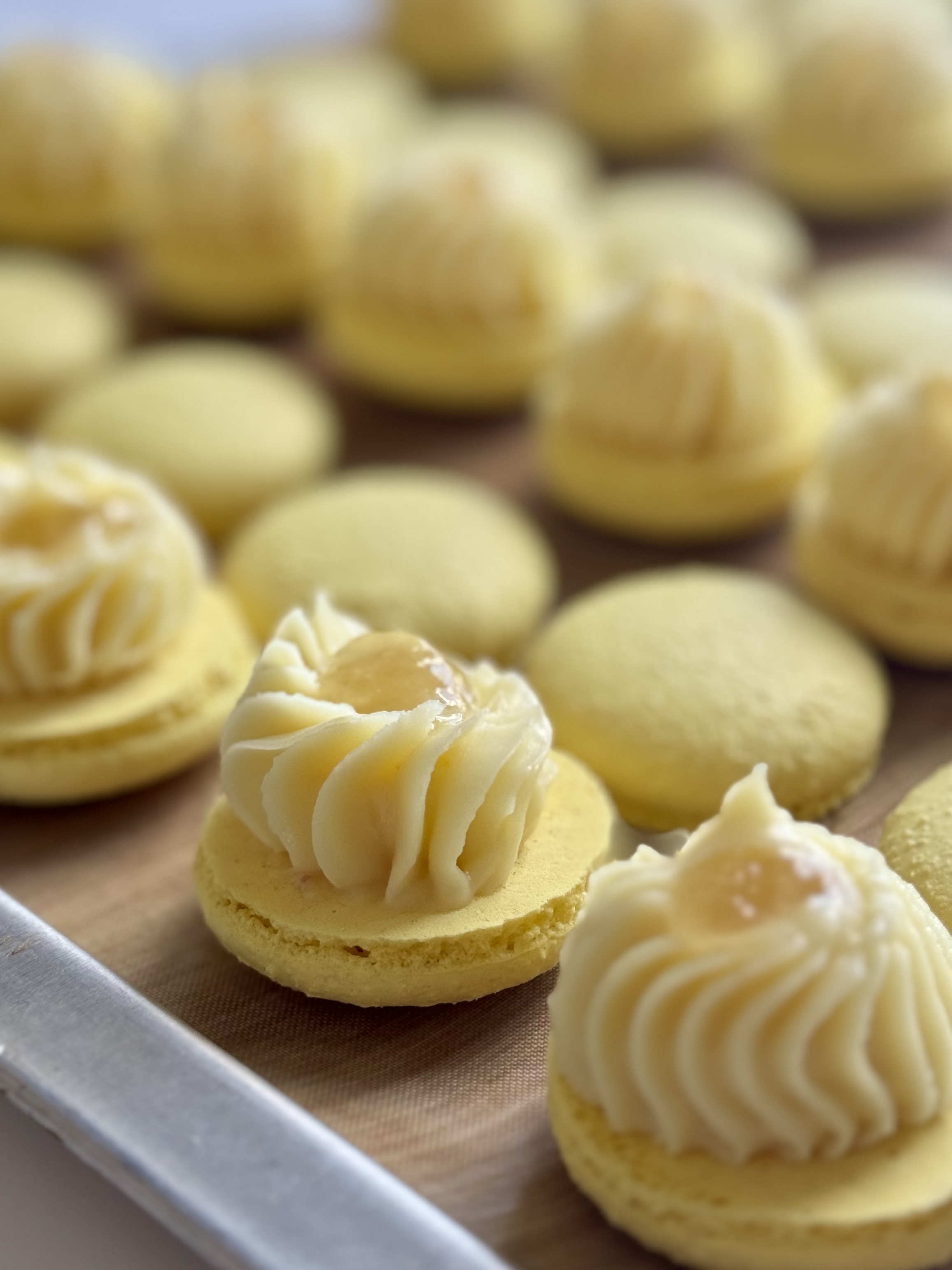 Lemon & White Chocolate