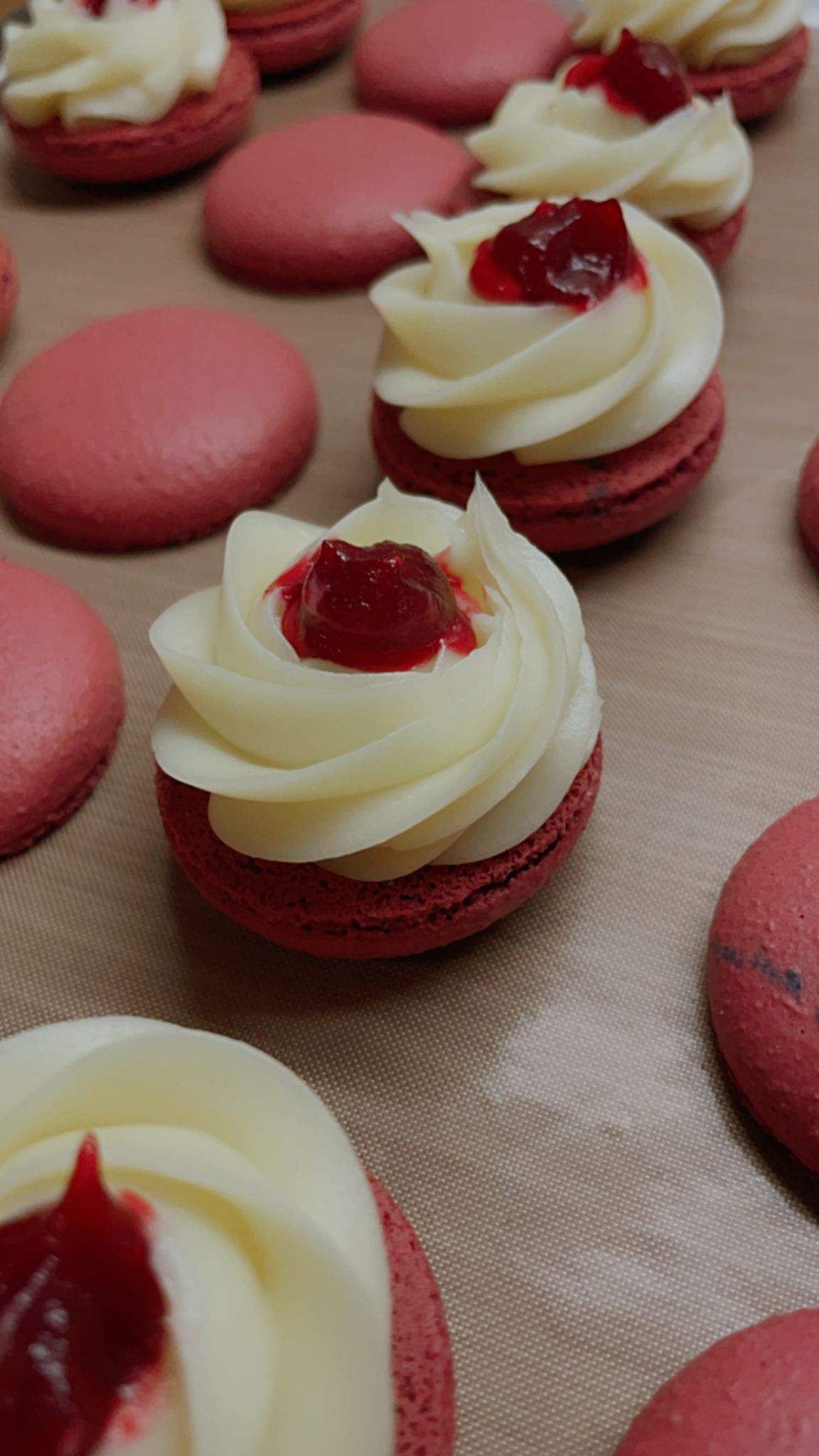 Rosemary Cranberry Cheesecake