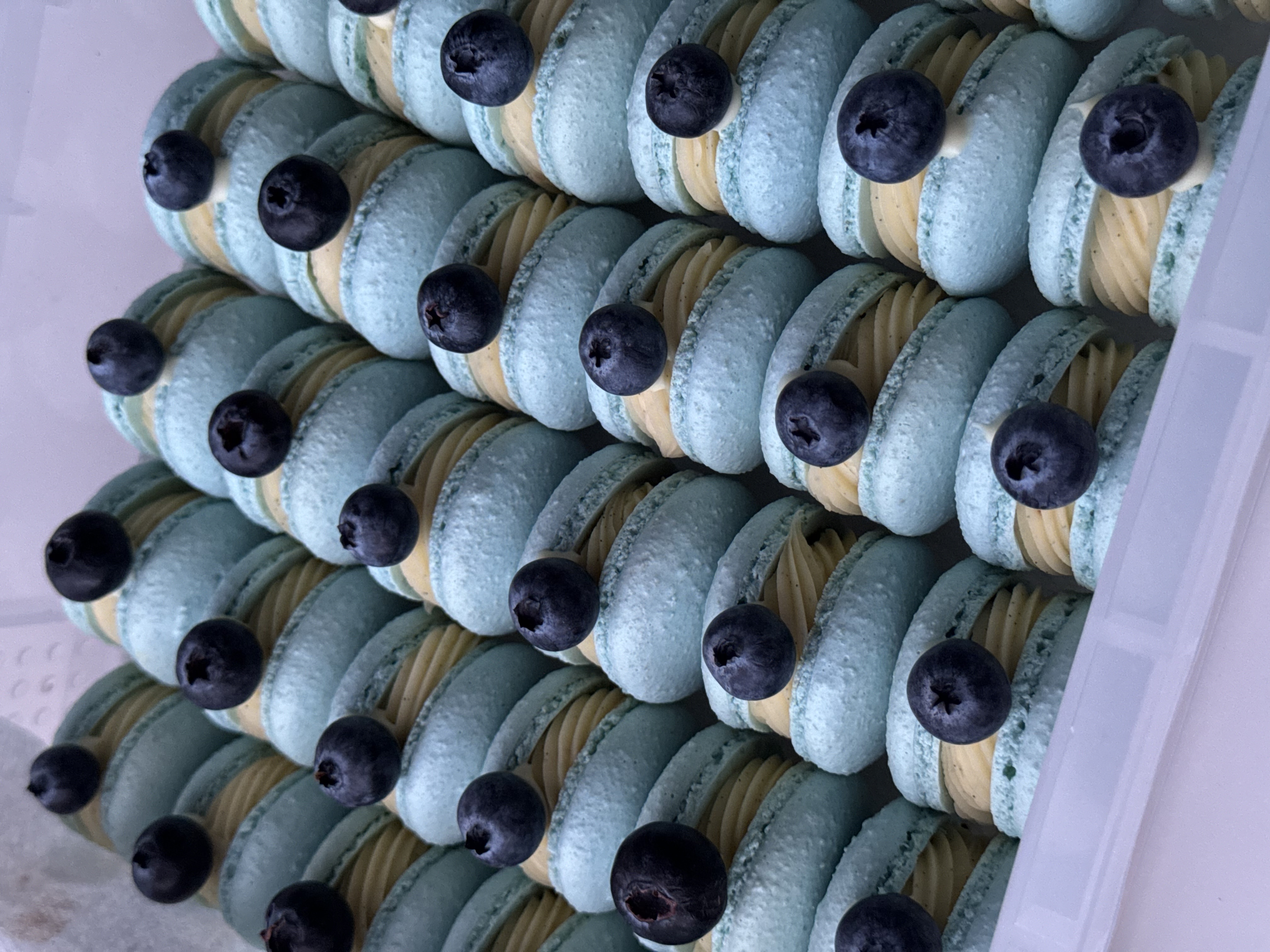 Vanilla & Blueberry preview 2