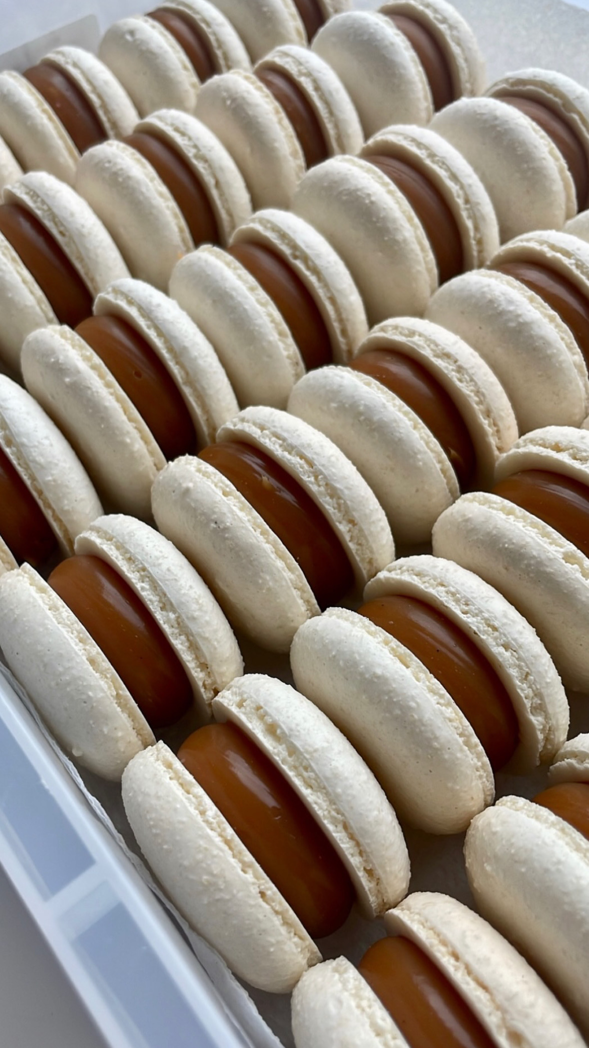Salted Caramel Macaron Filling Jar Version