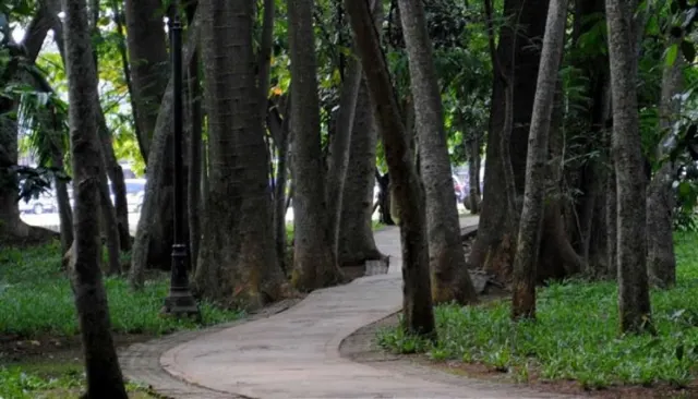 5 Rekomendasi Tempat Jogging Asik Di Tangsel
