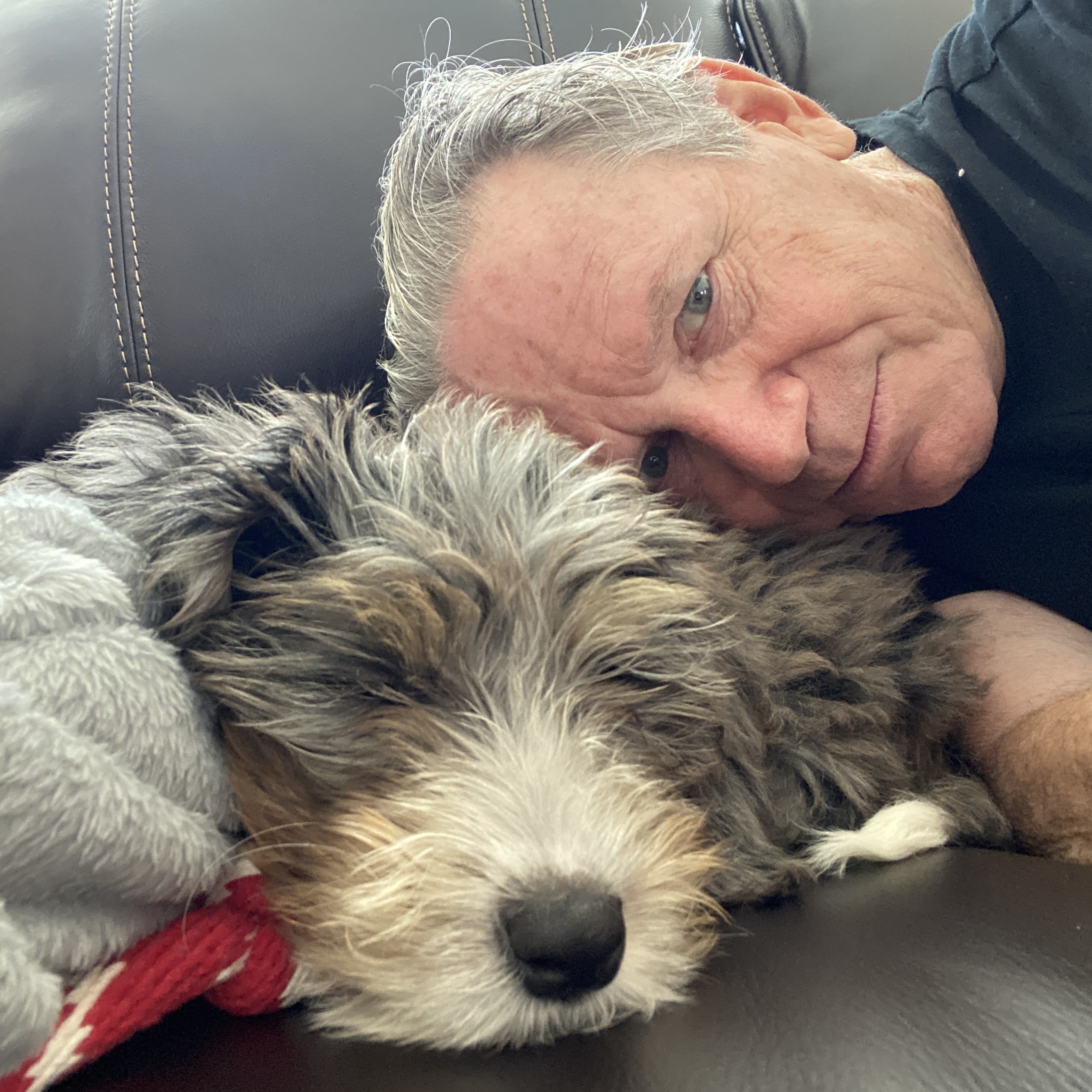 TheDukeReport's avatar