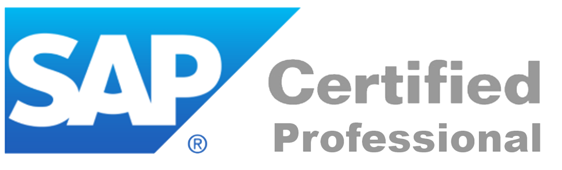 SAP Security Professional