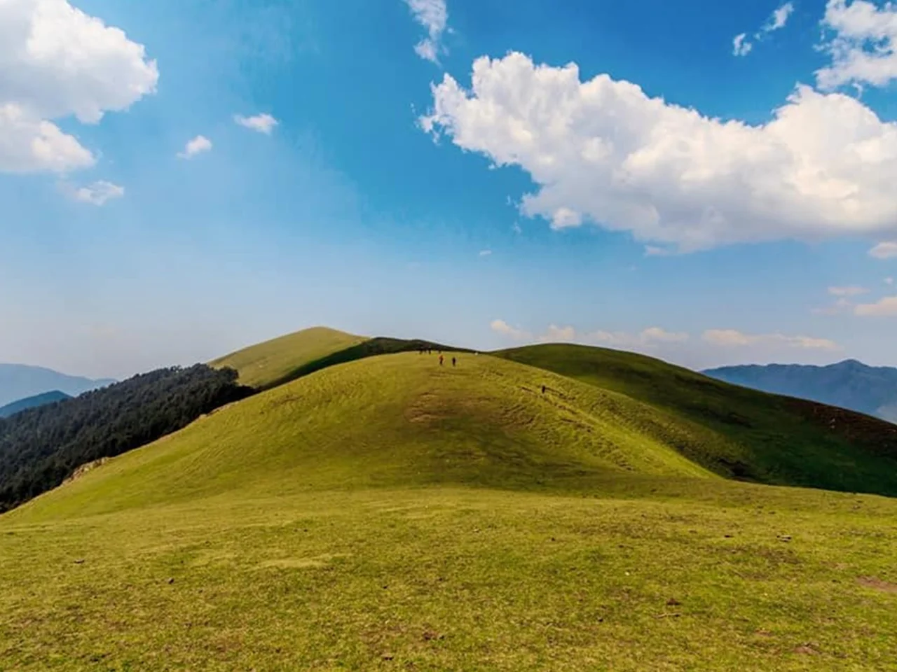 Ali Bedni Bugyal Trek