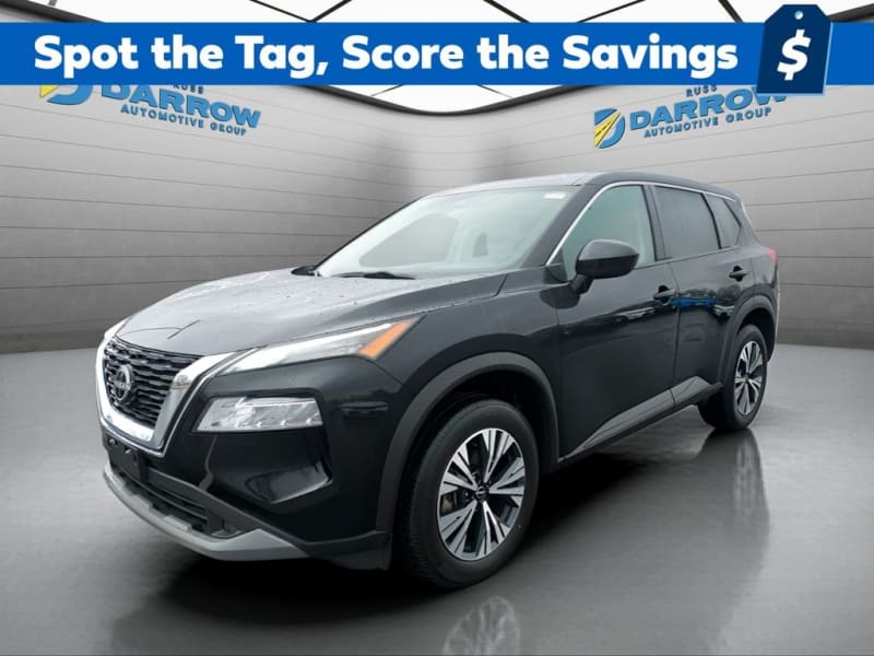 Rogue SV