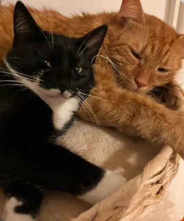 zdjęcie do artykułu