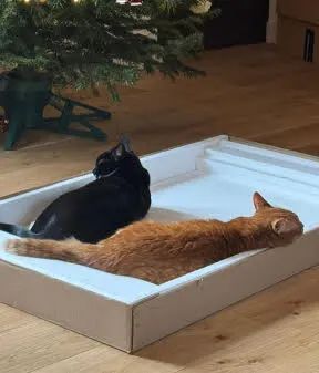 zdjęcie do artykułu