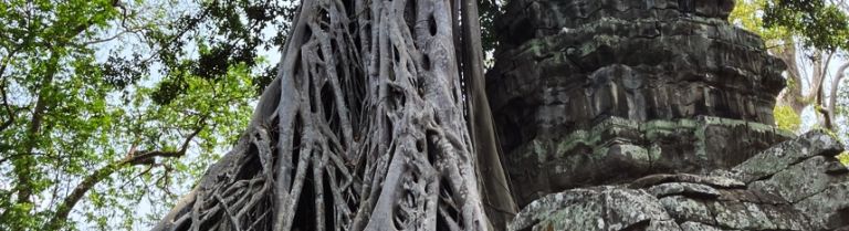 zdjęcie do artykułu