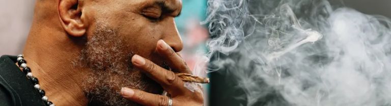 zdjęcie do artykułu