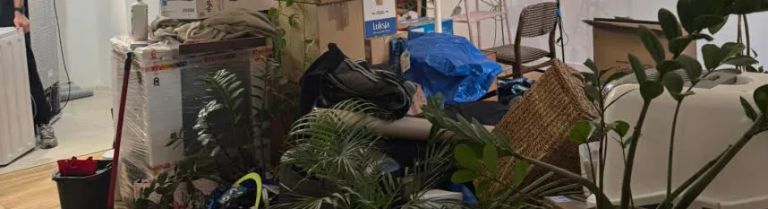 zdjęcie do artykułu