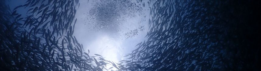 zdjęcie do artykułu