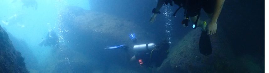 zdjęcie do artykułu