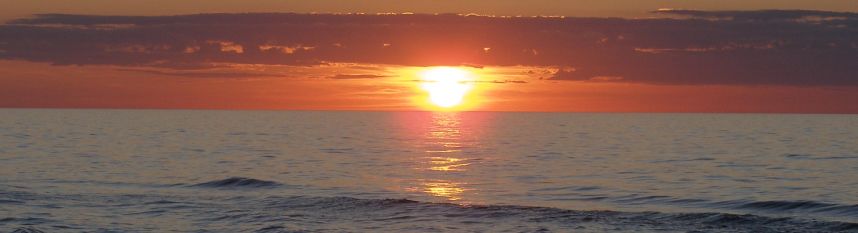 zdjęcie do artykułu