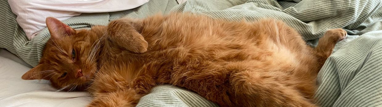 zdjęcie do artykułu