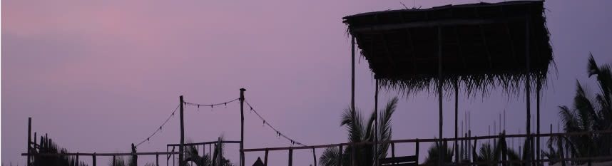 zdjęcie do artykułu