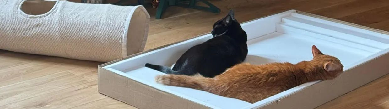 zdjęcie do artykułu