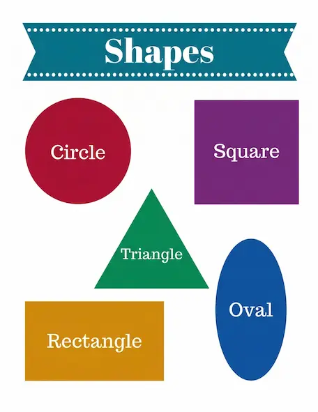 Grade 1 Math Different Shapes Lesson 10 | 2D and 3D Shapes Explained