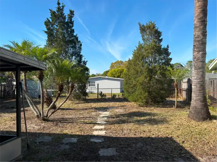 Backyard after major clean up with trimmed palms and fresh grass