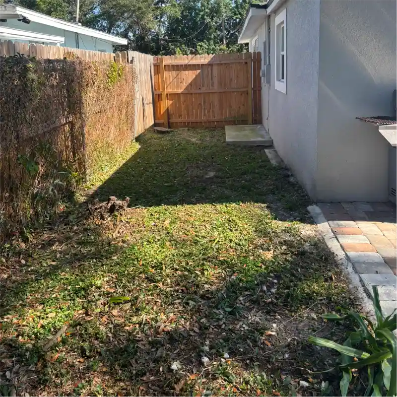 Side of house after plant, vine, and grass removal