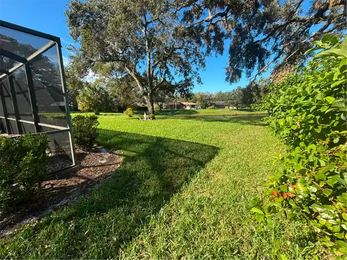 Backyard after leaf clean up and grass cutting