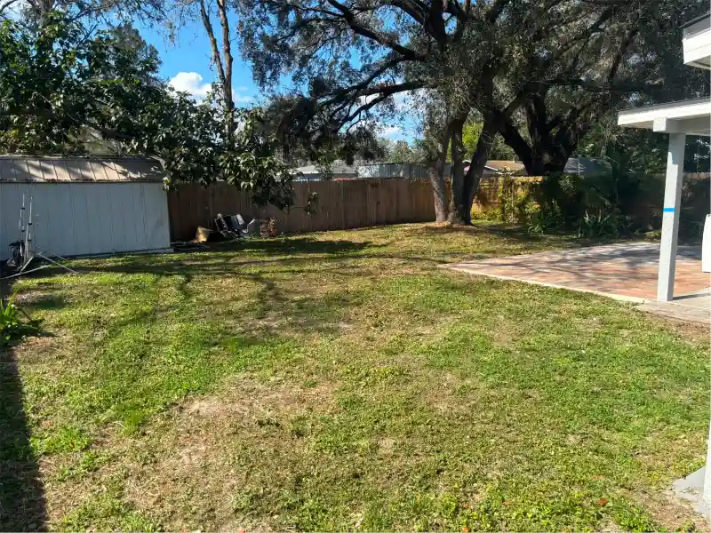 Backyard after grass cutting, edging, and debris removal