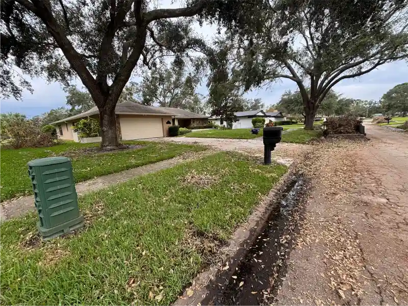 Front yard after makeover with clean edges and leaf removal