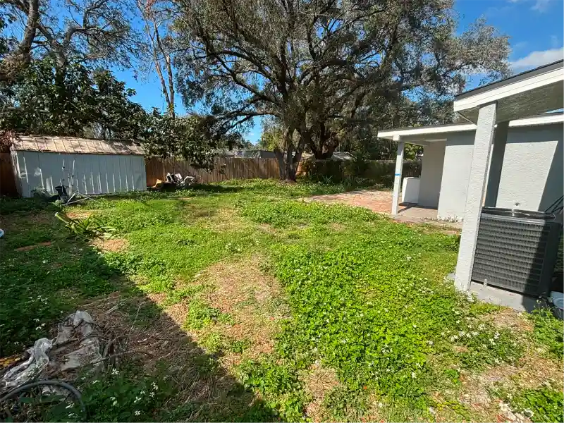 Backyard after grass cutting, edging, and debris removal