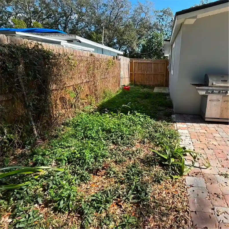 Side of house after plant, vine, and grass removal