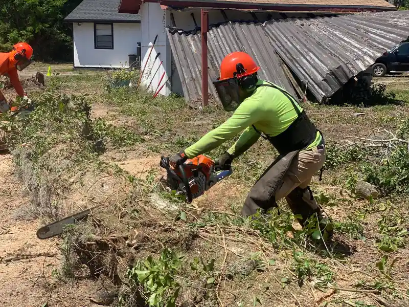 Henry Diaz cutting fallen trees after hurricane