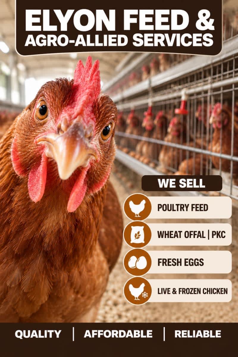 Elyon Farms