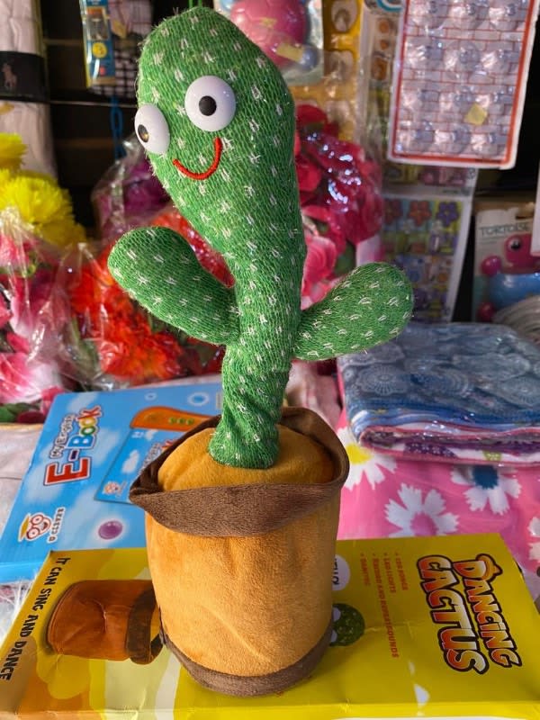 Dancing Cactus