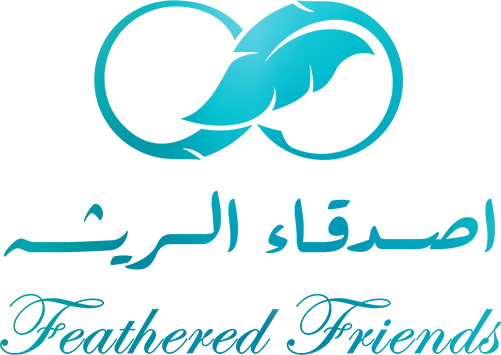 Loading Page