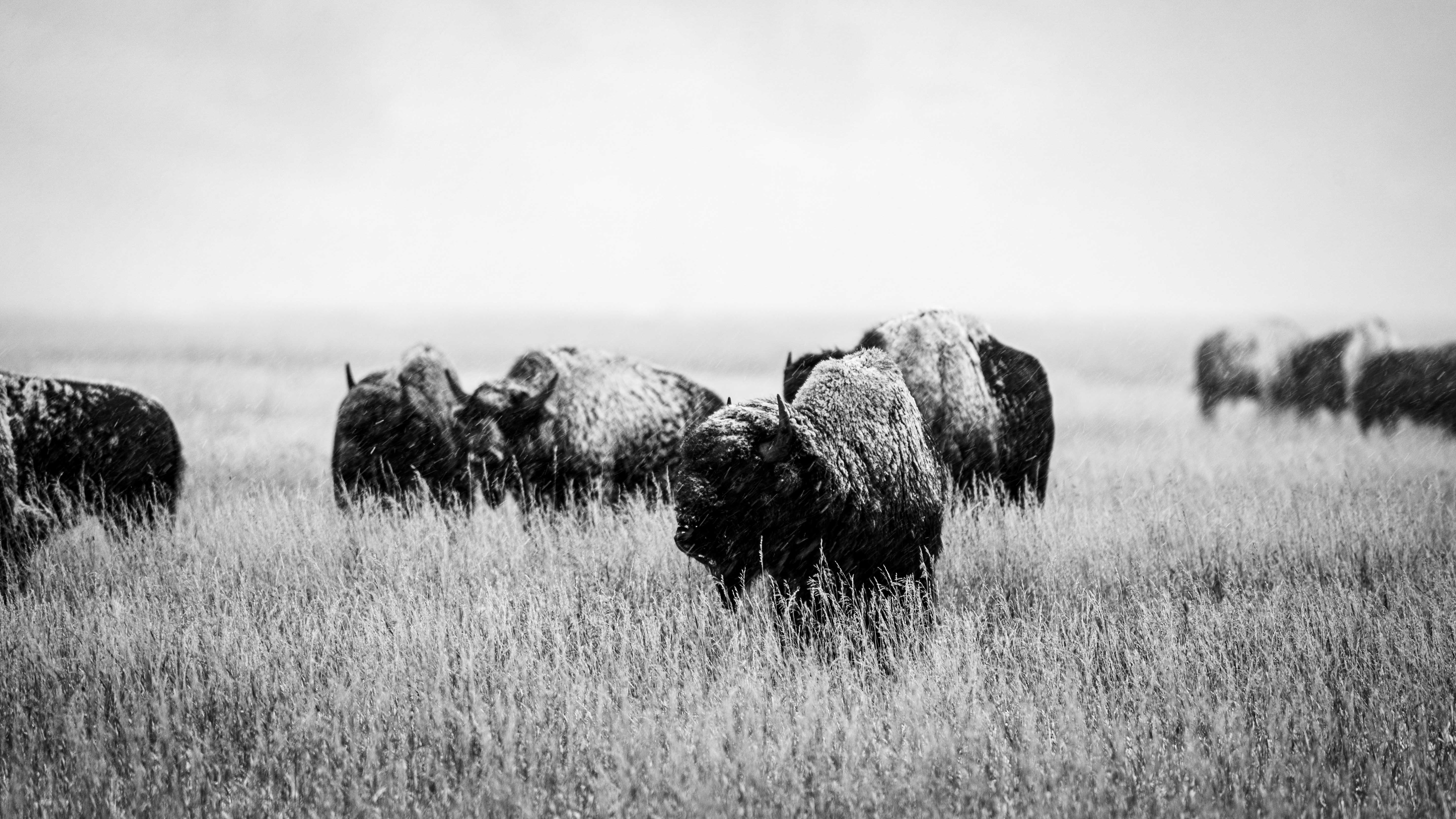 Photography by Nate Berenson