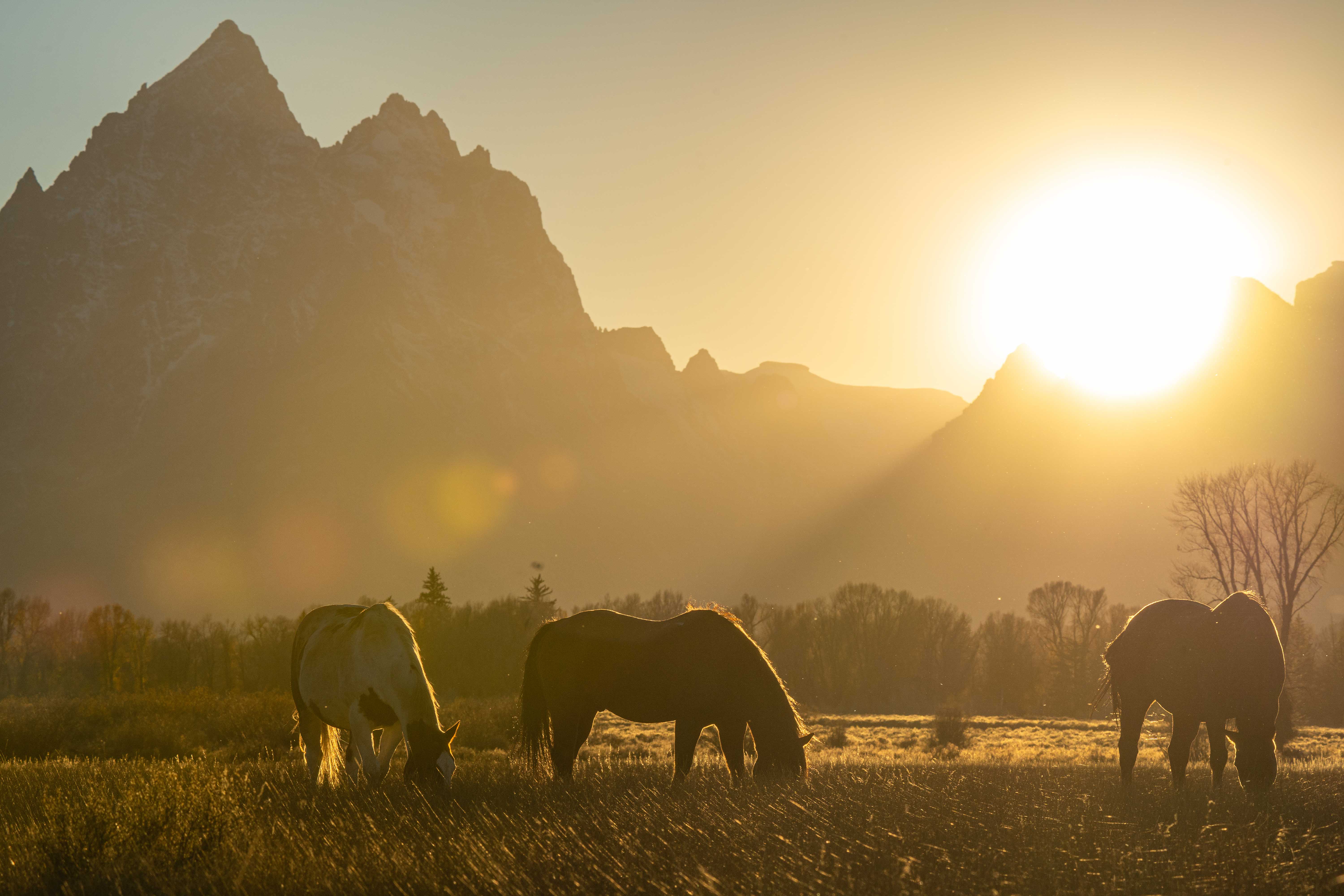 Photography by Nate Berenson