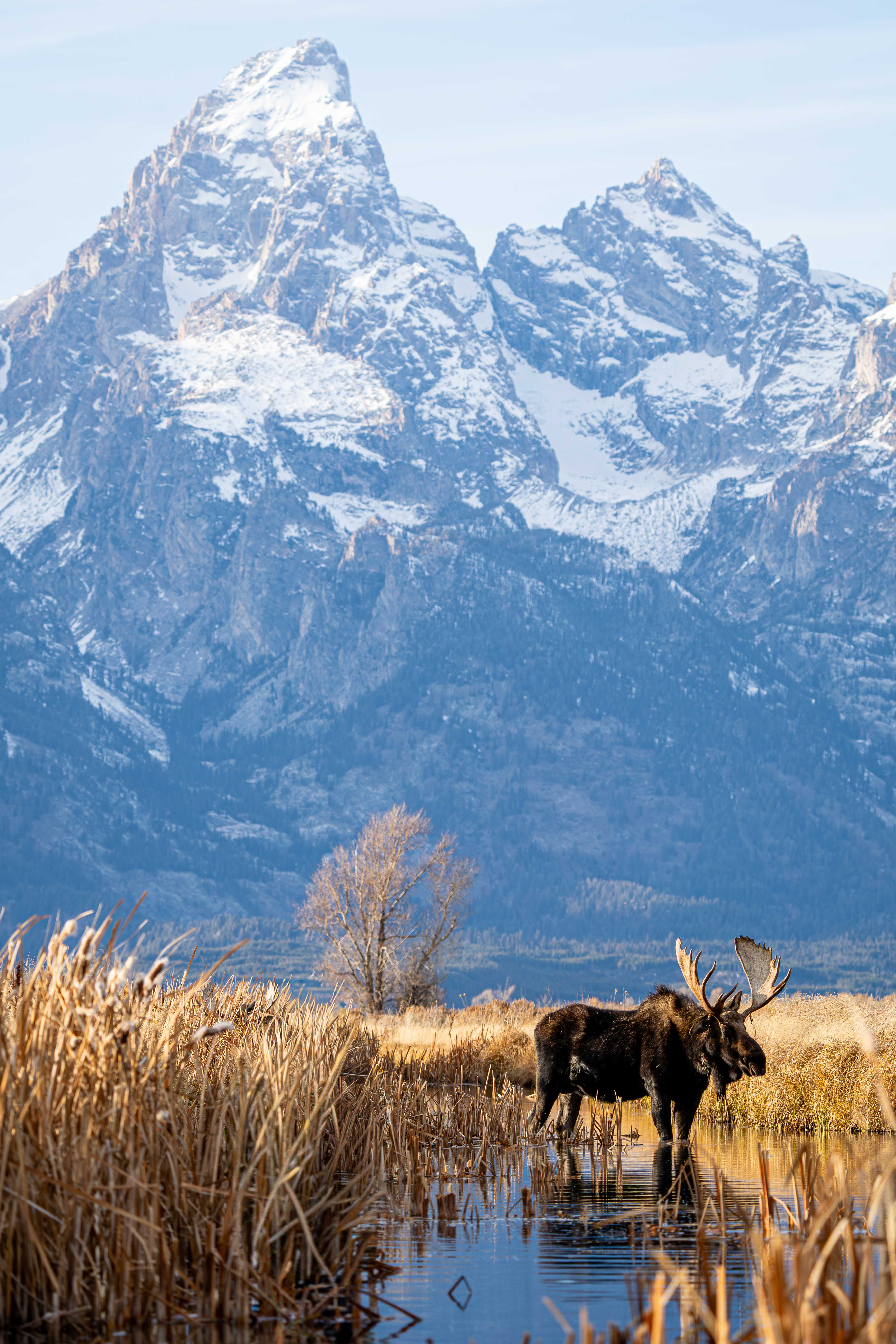 Photography by Nate Berenson