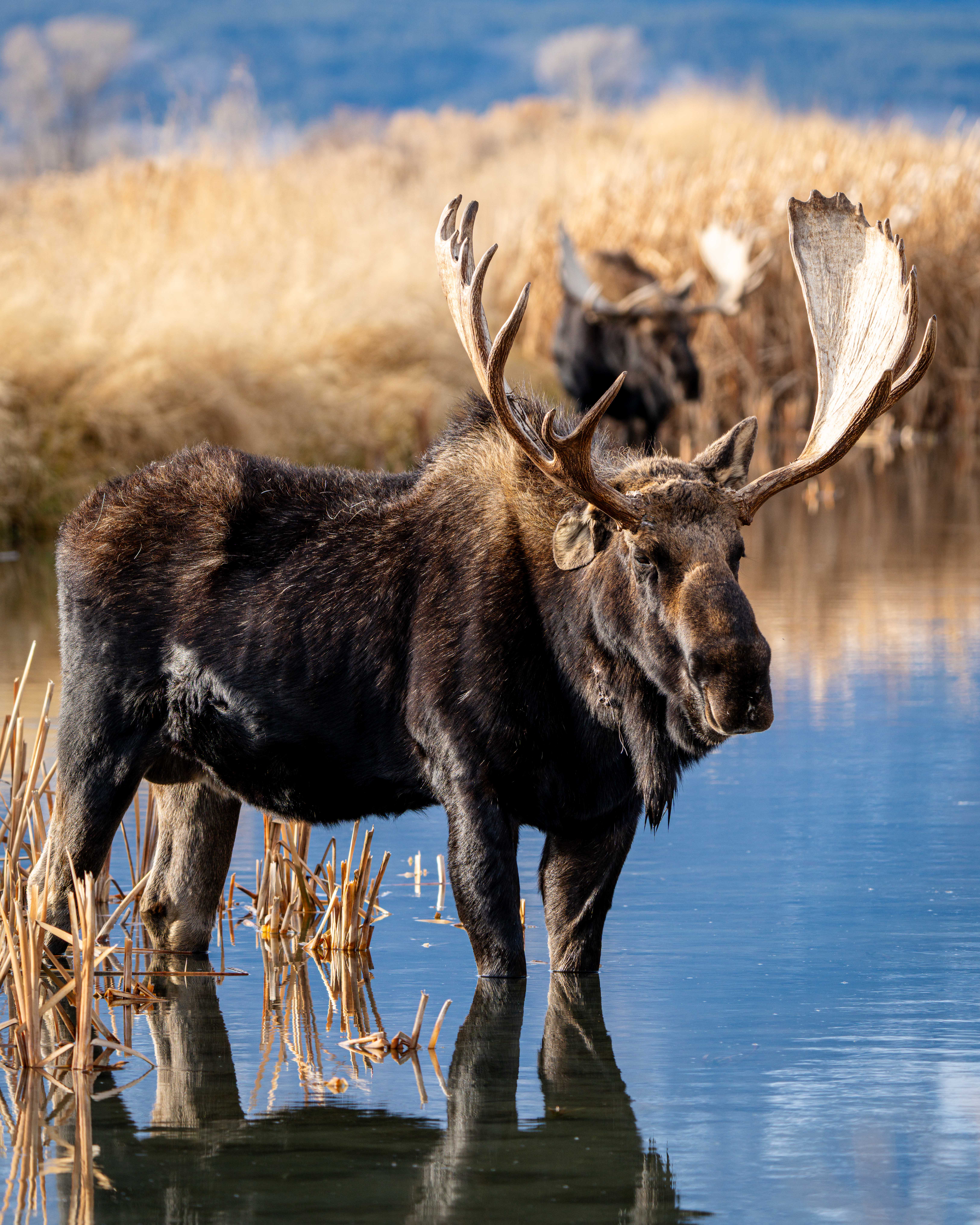 Photography by Nate Berenson