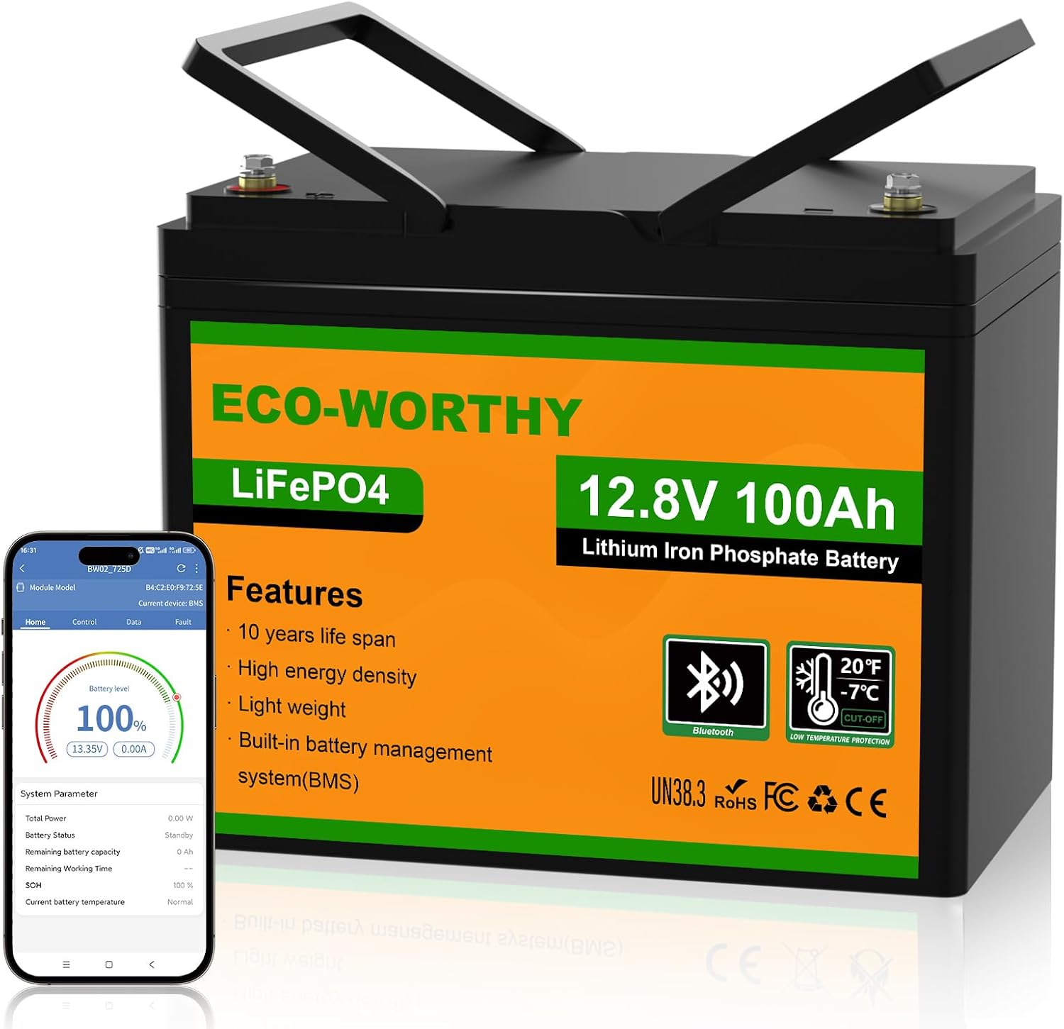 Ecoworthy Bluetooth Batterie Lithium