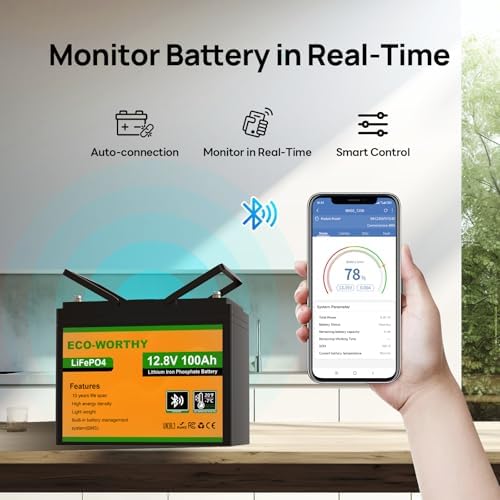 Vue 2 de Ecoworthy Bluetooth Batterie Lithium